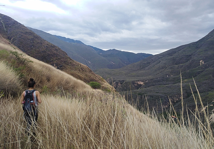Caminata hacia tu plenitud: Una 'Aventura del alma' por el bosque nuboso de Perú